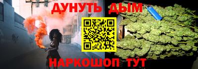 сатива Бийск