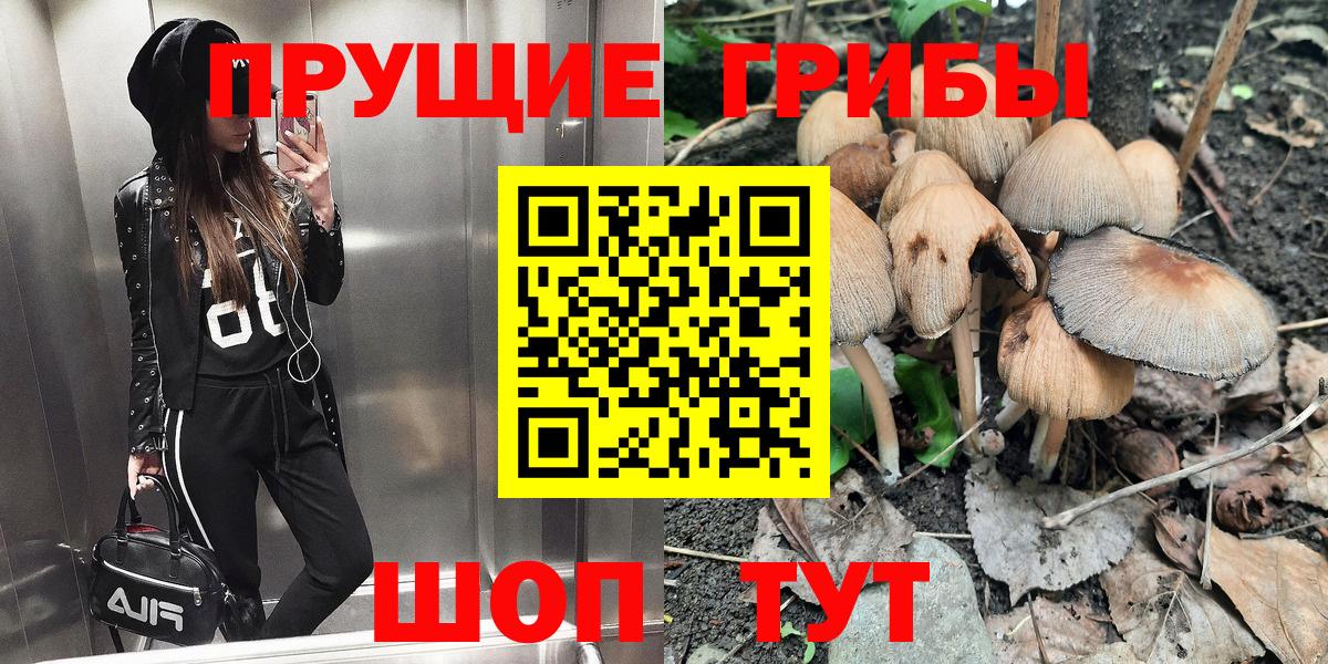 Псилоцибиновые грибы ЛСД Ковров